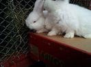 20130406_103419