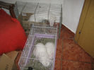 rom_marz_ 044