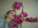 Picture 1484