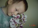 Picture 1488