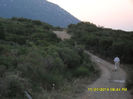 SDC11741