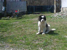 Photo2273