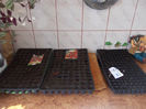 DSCN7713_3184