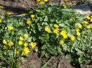 DSCN7740_3211