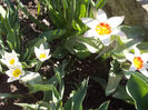 DSCN7744_3215