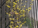 DSCN7745_3216