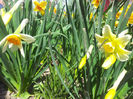 2013-04-06 11.57.37