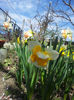 2013-04-06 11.59.37