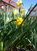 2013-04-06 12.01.17
