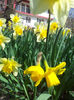 2013-04-06 12.01.36