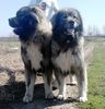 Fennya & Bruno 3