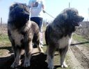 Fennya & Bruno 4