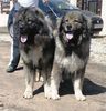 Fennya & Bruno