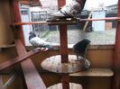 DSCF0469