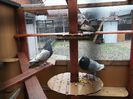 DSCF0470