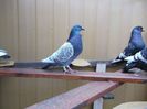 DSCF0492