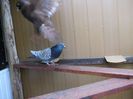 DSCF0496
