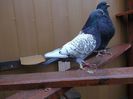 DSCF0499