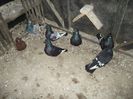 DSCF0512