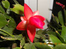 DSCN2877