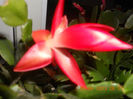 DSCN2878