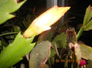 DSCN2880