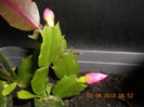DSCN2881