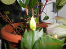 DSCN2882