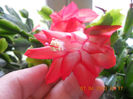 DSCN2912