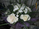 Picture 126