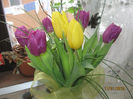 Picture 026