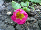 Fotogr.0611