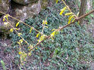 Fotogr.0620