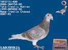 TRESTIU 400-vandut