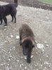 20130407_132403