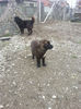 20130407_132140