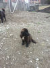 20130407_132150