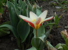 DSCN3686