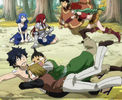 FAIRY TAIL - 123 - Large 32