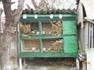 DSCN1456