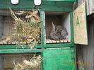 DSCN1457