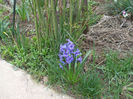 DSCF0224
