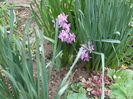 DSCF0226
