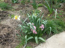 DSCF0228