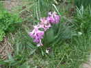 DSCF0229