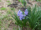 DSCF0232