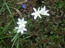 DSCF0244