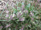 DSCF0246