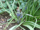 DSCF0247