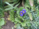 DSCF0225